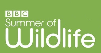 BBC Summer Wildlife 01