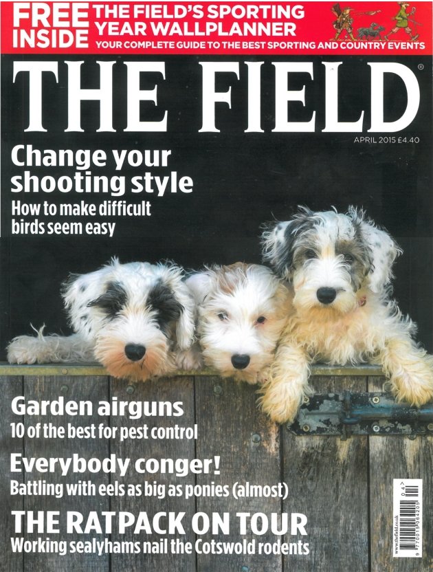 The Field Cover Apr 2015 01