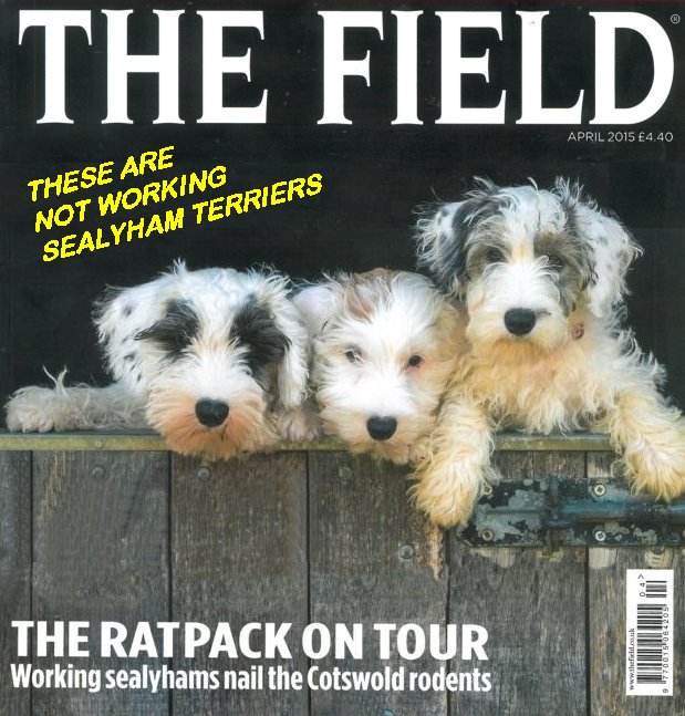 The Field Cover Apr 2015 01a