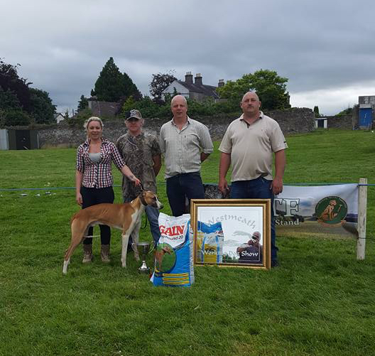 Congratulations to Laura Phibbs and Bandit who weee crowned Lurcher champion at the Westmeath Working Dog Show